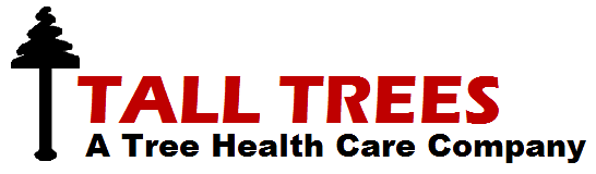 Tall Trees Logo