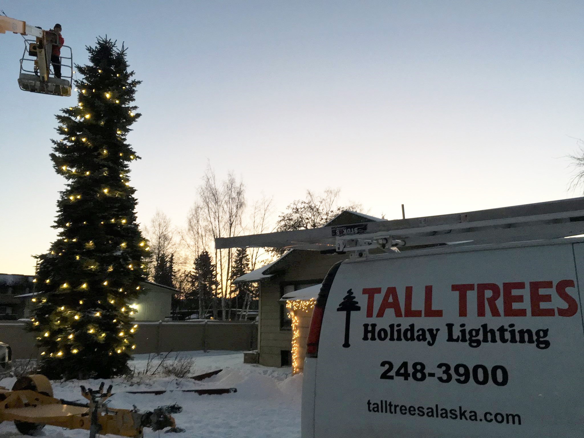 tall trees team at work installing christmas lights